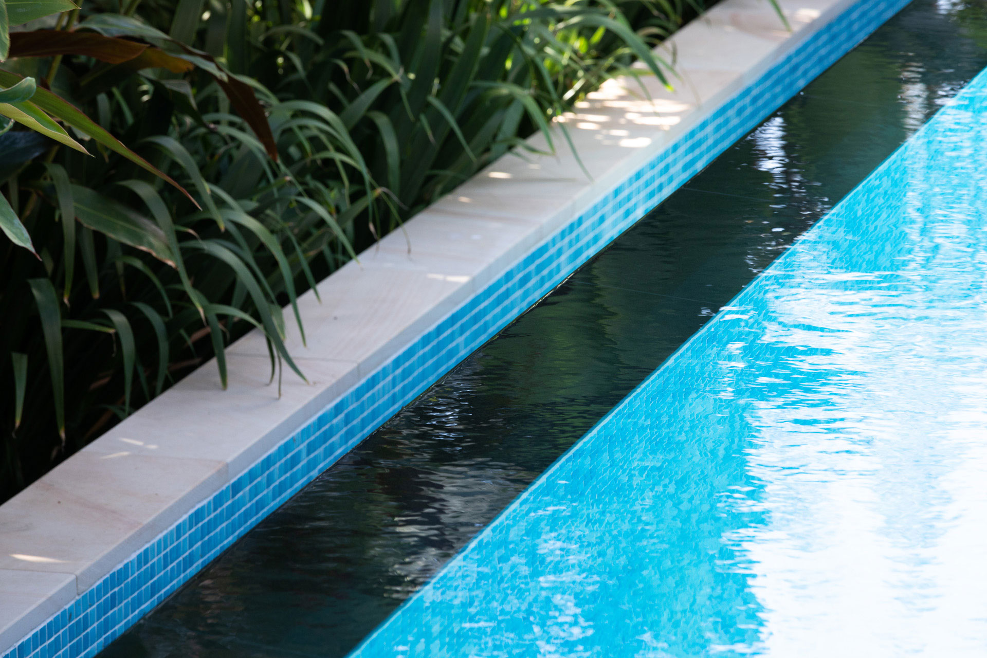 Lap Pool & Spa Bondi